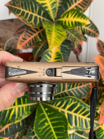 Canon PowerShot SD890 IS Digital ELPH 12.1 MP Camera Bundle - Bronze