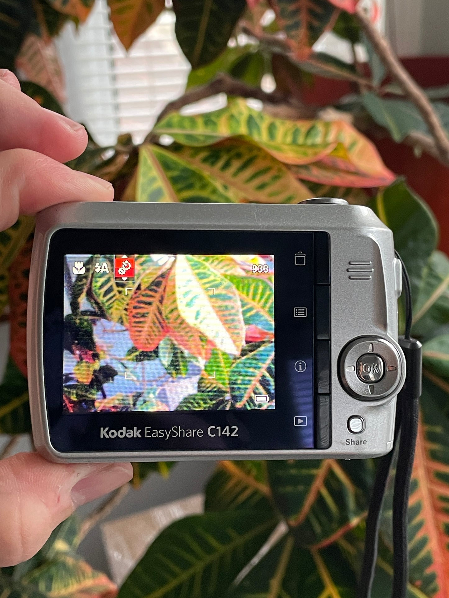 Kodak EasyShare C142 10 MP Digital Camera Bundle - Silver