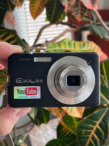 Casio Exilim EX-S10 10.1 MP Digital Camera Bundle - Black