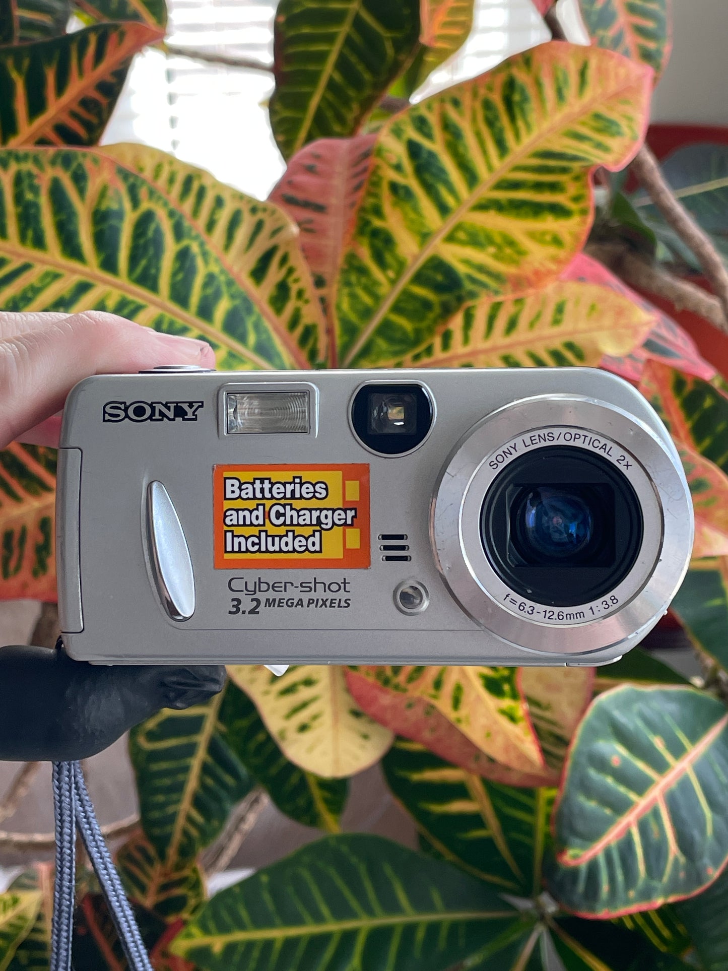 Sony CyberShot DSC-P52 3.2 MP Digital Camera Bundle - Silver