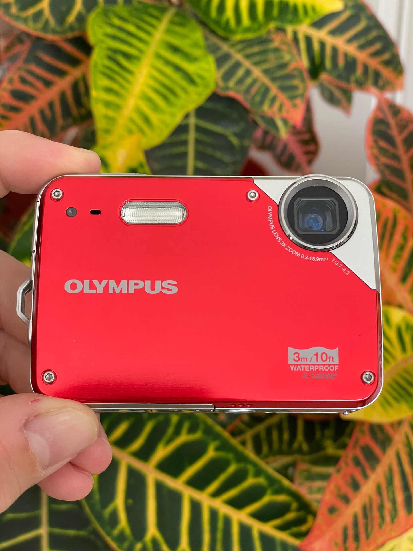 Olympus X-560WP 10 MP Digital Camera Bundle - Red