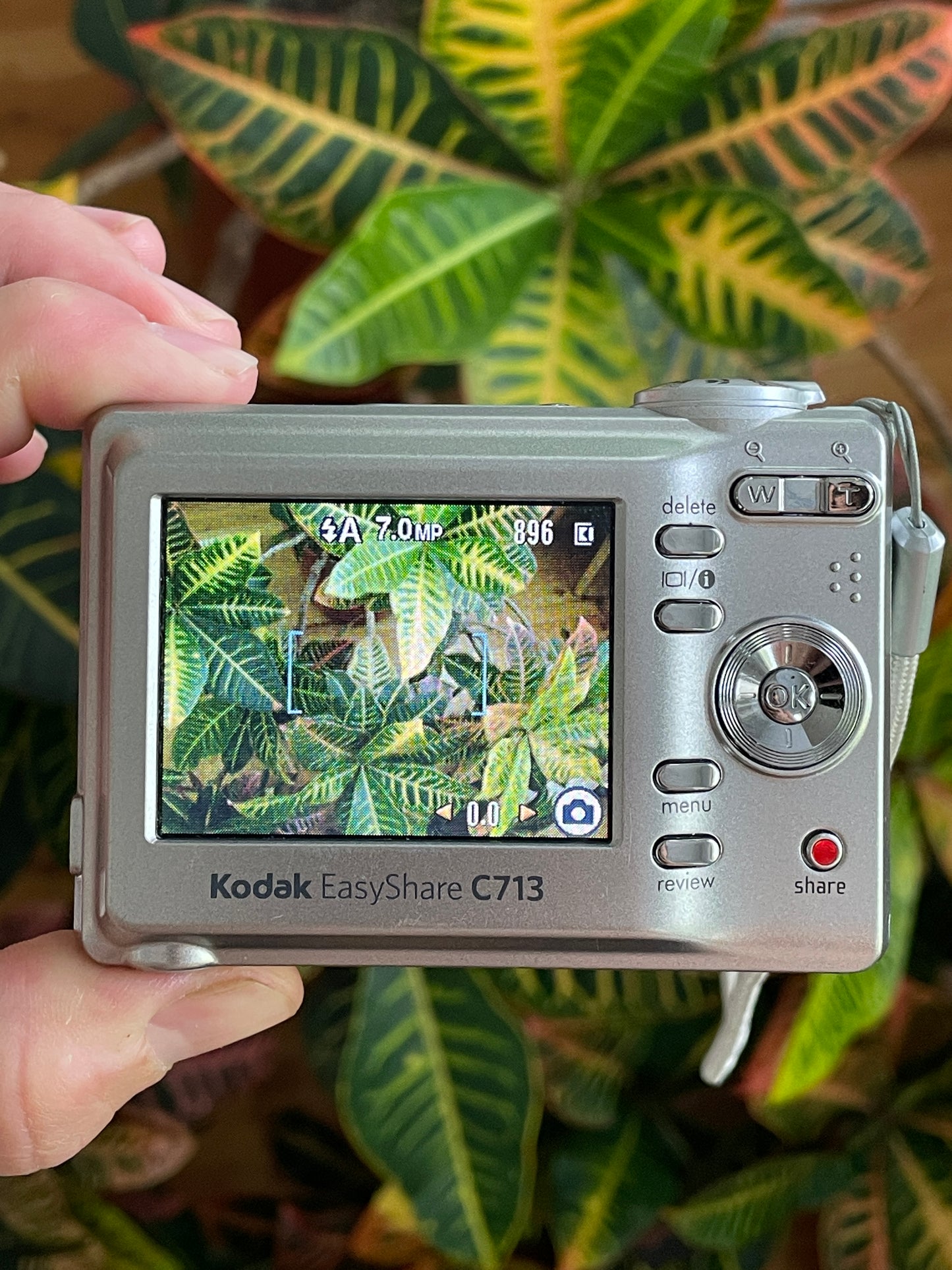 Kodak EasyShare C713 7.1 MP Digital Camera Bundle - Gray