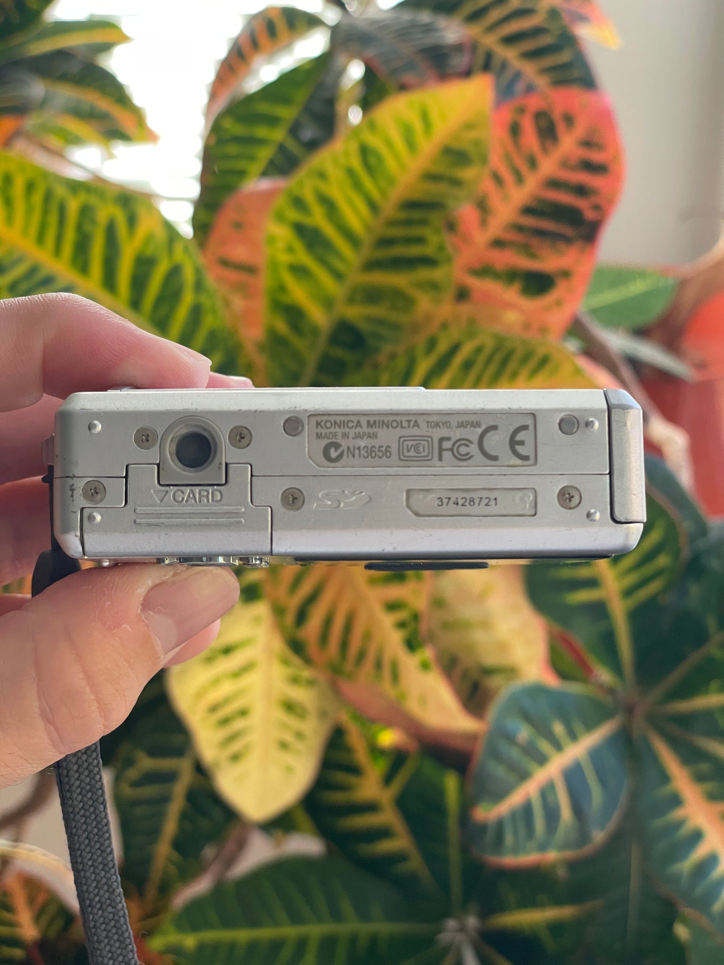 Dimage X50 5.0 MP Digital Camera