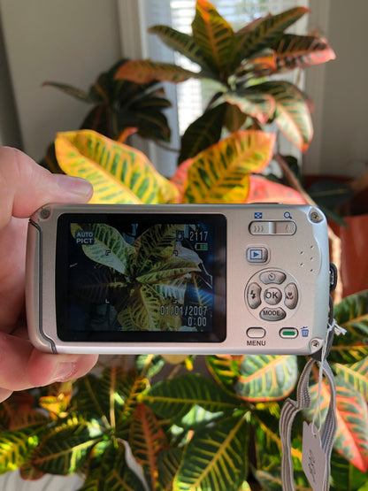 Pentax Optio W30 7.1 MP Digital Camera Bundle - Silver