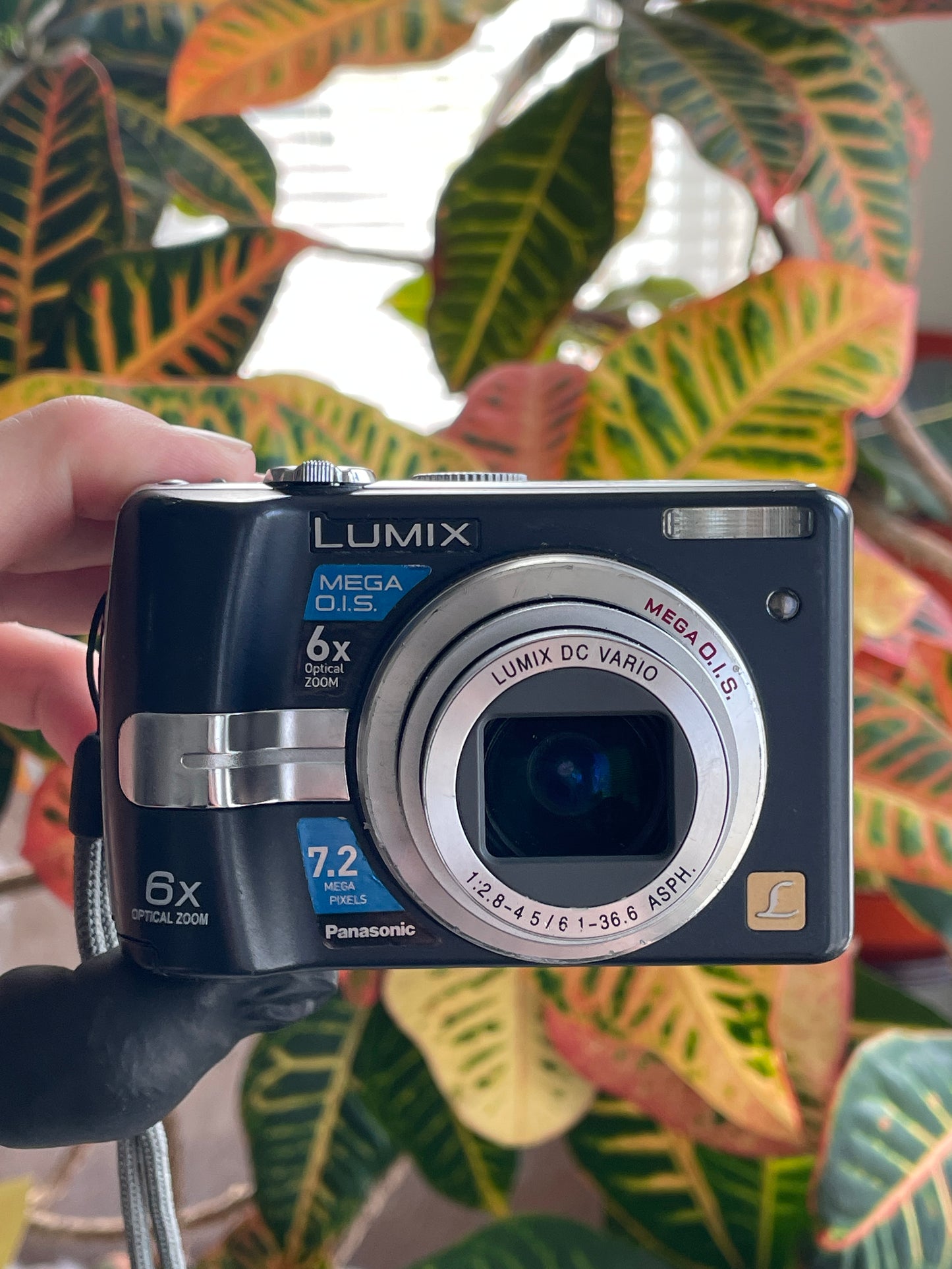 Panasonic Lumix DMC LZ7 7.2 MP Digital Camera Bundle - Black