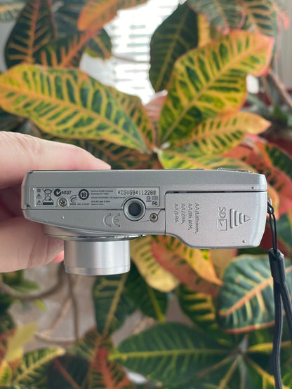 Kodak EasyShare C182 12 MP Digital Camera Bundle - Silver