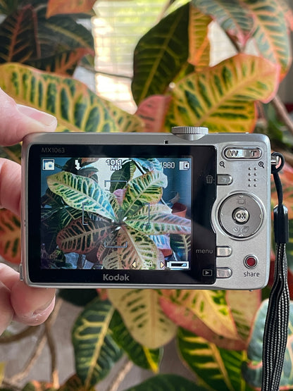 Kodak EasyShare MX1063 10.3 MP Digital Camera Bundle - Silver