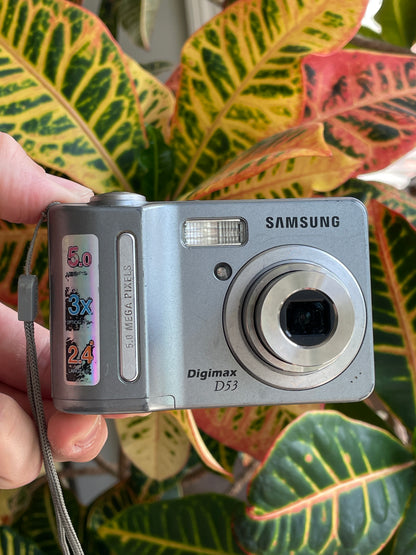 Samsung Digimax D53 5.0 MP Digital Camera Bundle - Gray