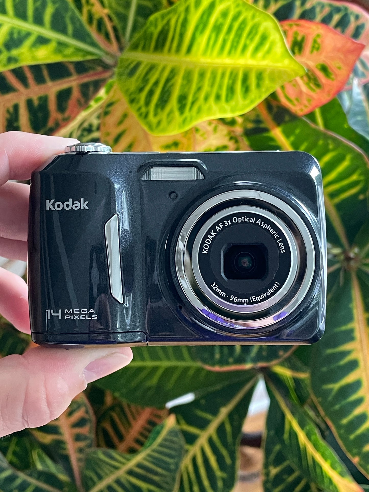 Kodak EasyShare C183 14 MP Digital Camera Bundle - Charcoal