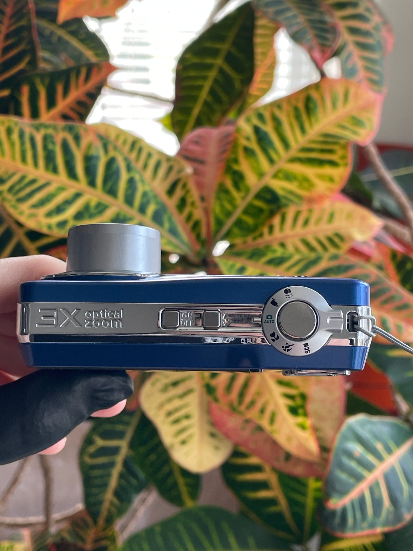 Kodak EasyShare C180 10.2 MP Digital Camera Bundle - Blue