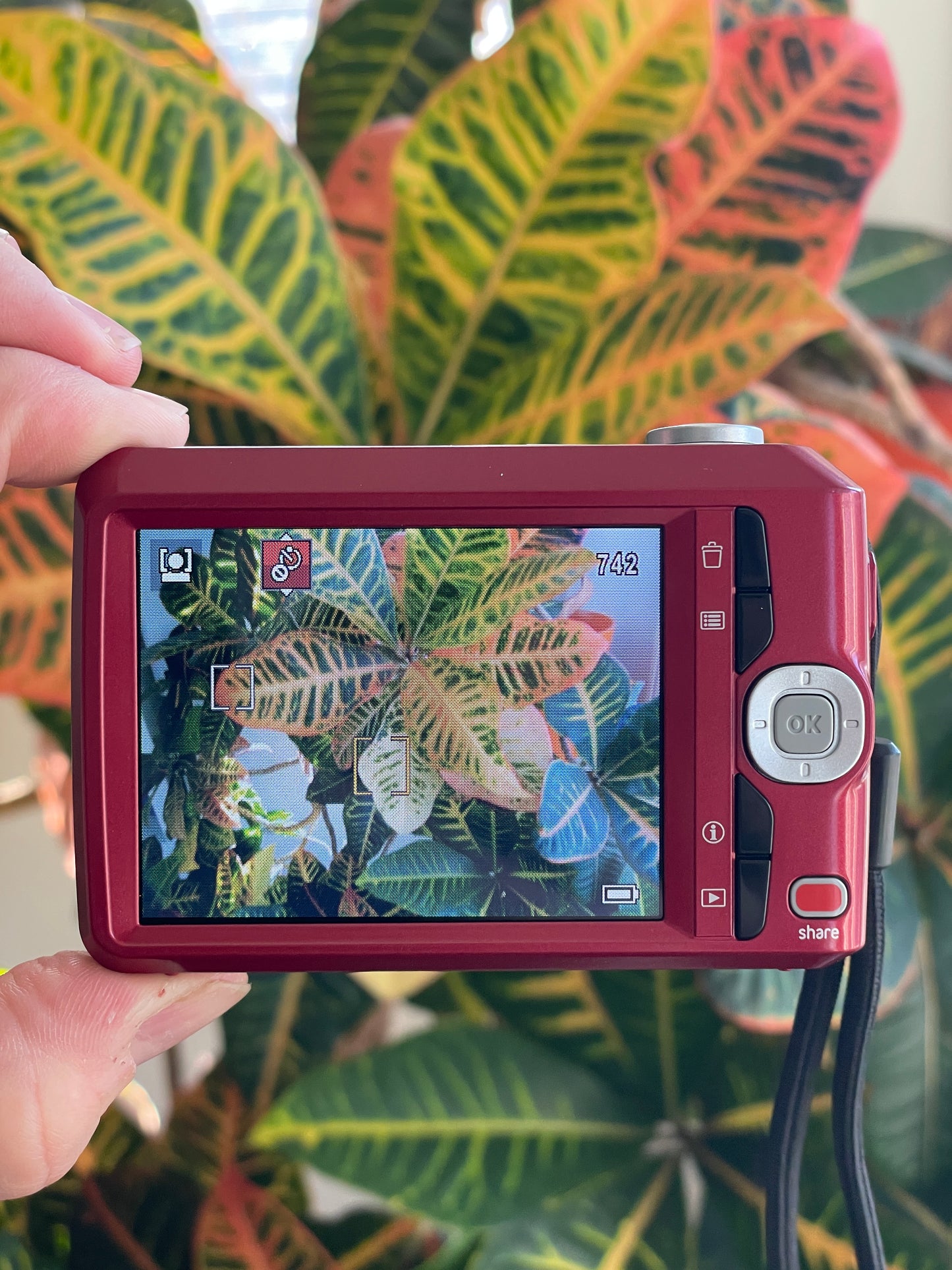 Kodak EasyShare C1450 14 MP Digital Camera Bundle - Red - In Box