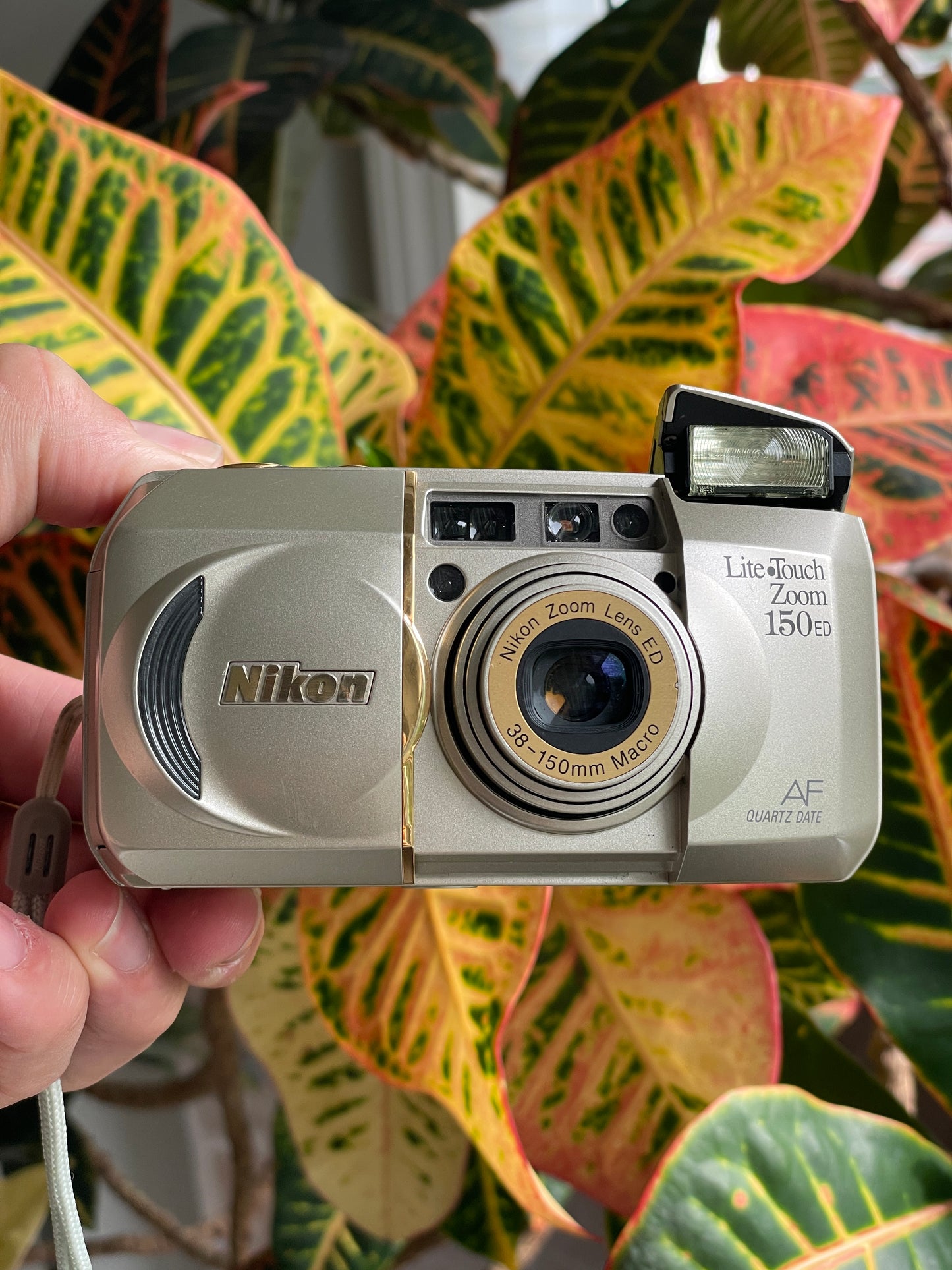 Nikon Lite-Touch Zoom 150 ED AF Quartz Date 35mm Film Camera Bundle - Gold Trim