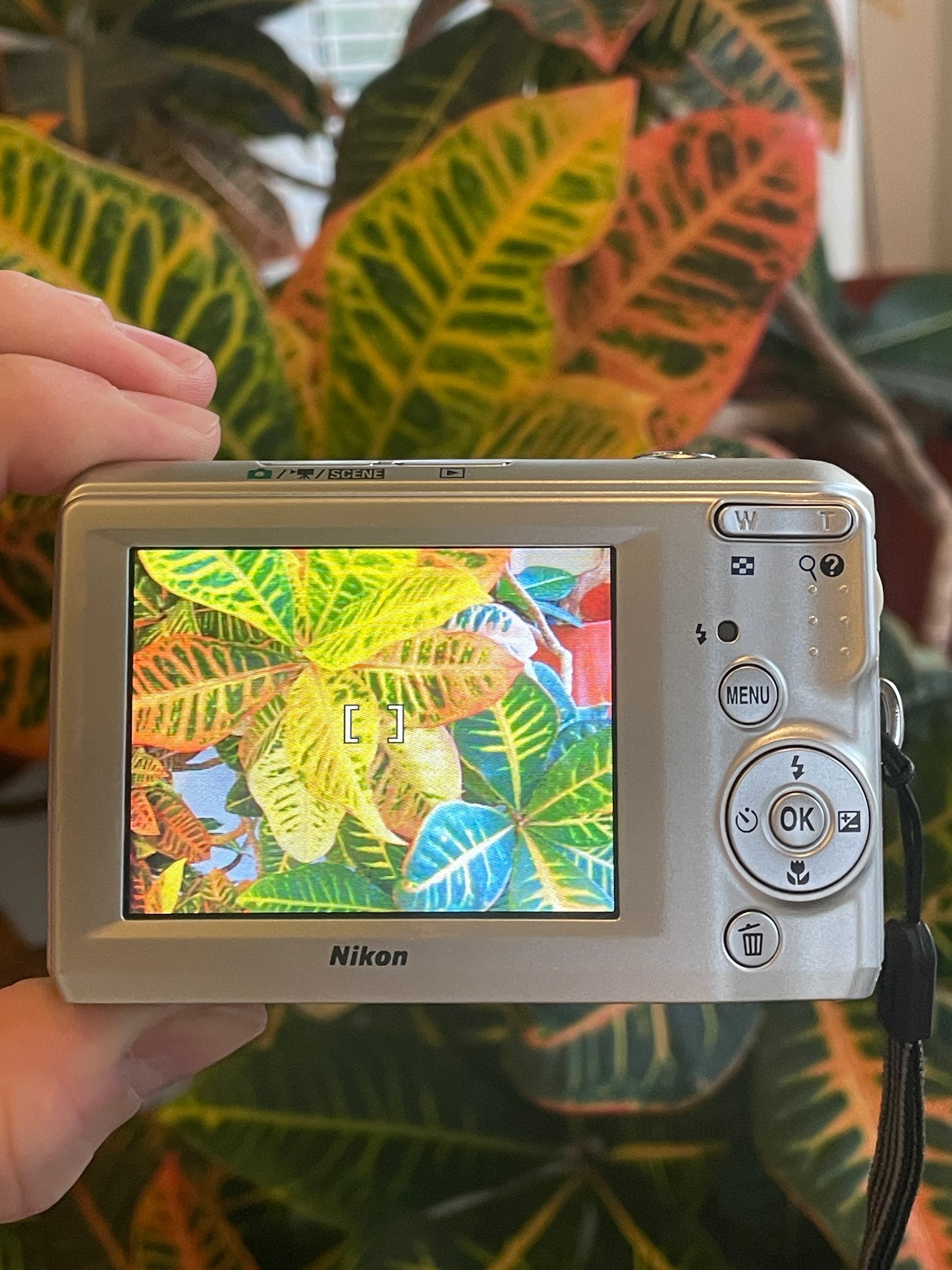 Nikon CoolPix L19 8.0 MP Digital Camera Bundle - Silver