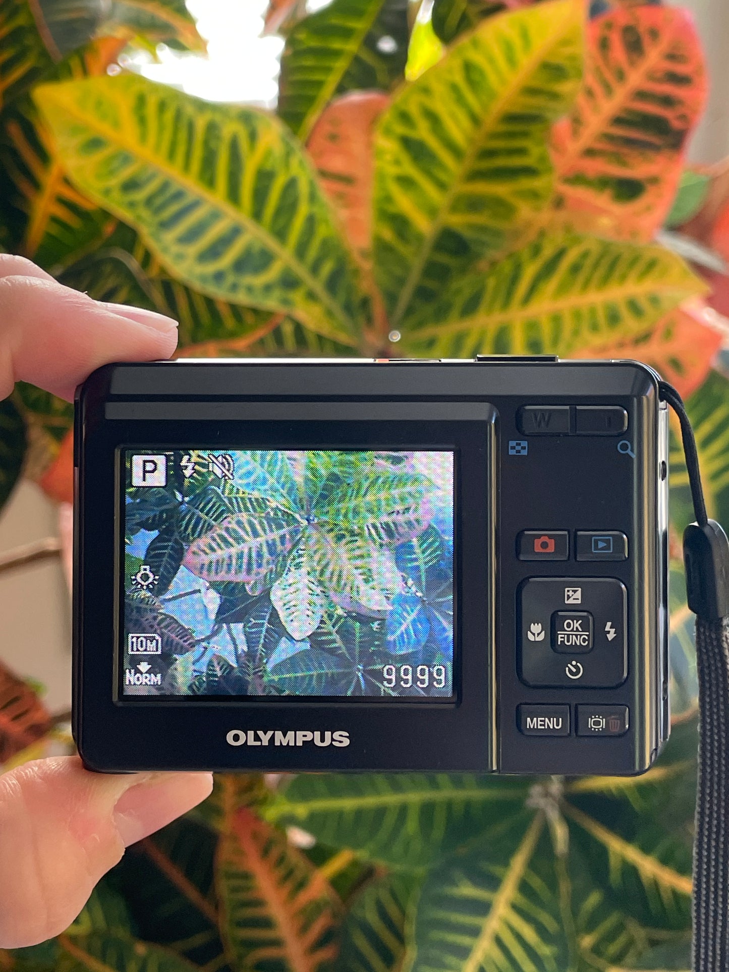 Olympus FE-25 10 MP Digital Camera Bundle - Black