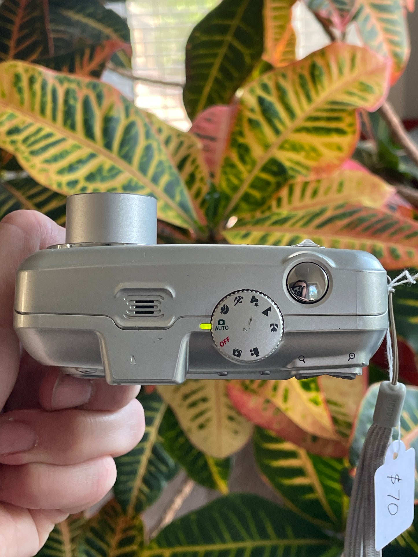Kodak EasyShare CX7525 5.0 MP Digital Camera Bundle - Silver