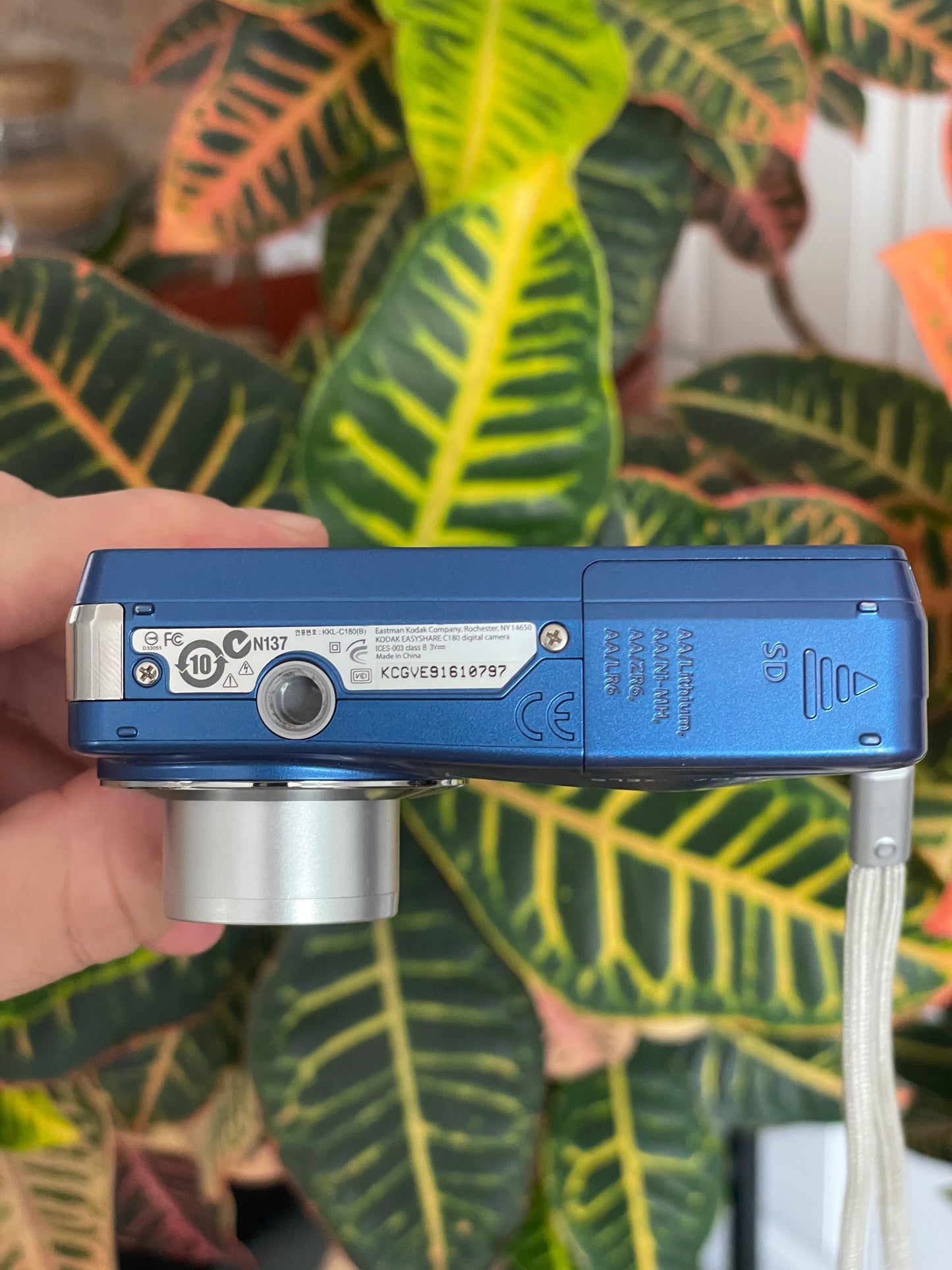 Kodak EasyShare C180 10.2 MP Digital Camera Bundle - Blue