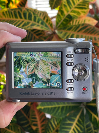 Kodak EasyShare C813 8.2 MP Digital Camera Bundle - Gray