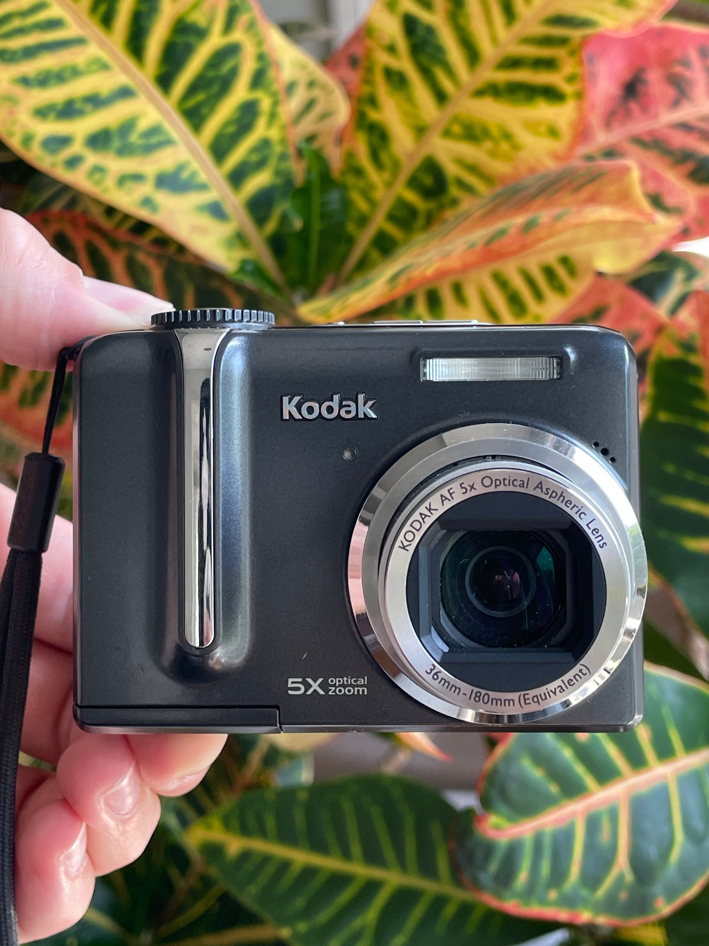 Kodak EasyShare Z885 8.1 MP Digital Camera Bundle - Black