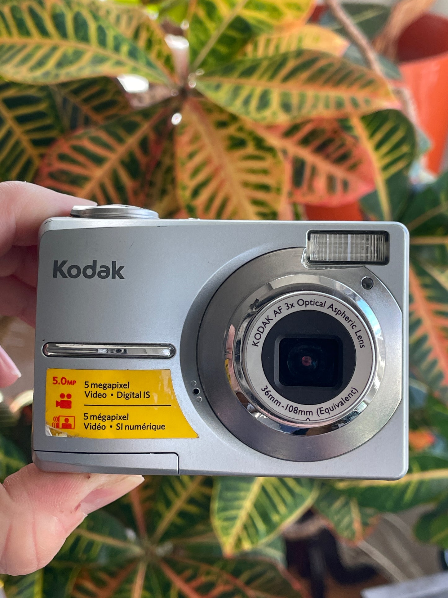 Kodak EasyShare C513 5 MP Digital Camera Bundle - Silver
