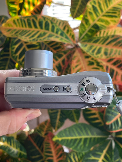 Kodak EasyShare C813 8.2 MP Digital Camera Bundle - Gray