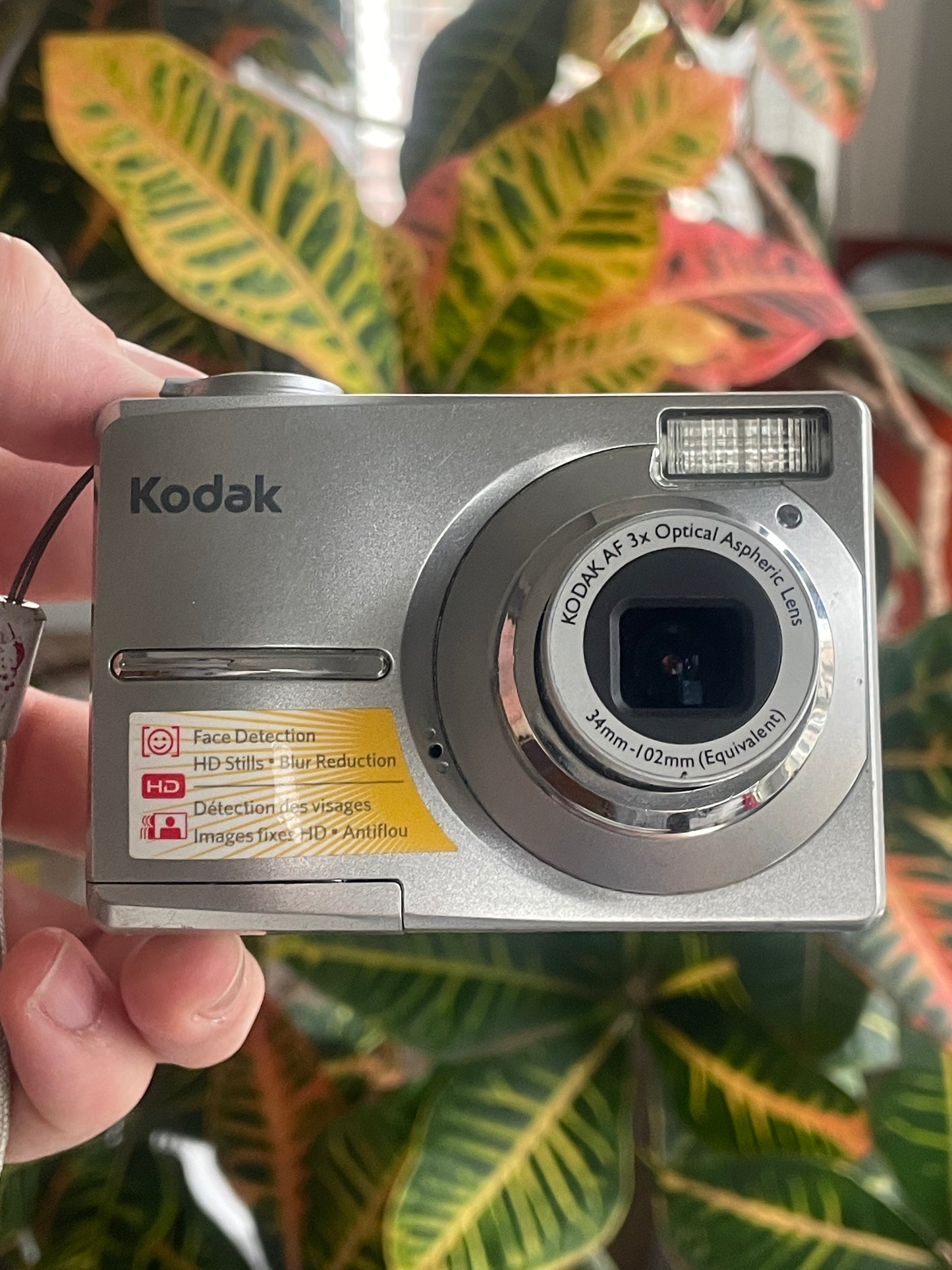 Kodak EasyShare C1013 10.3 MP Digital Camera Bundle - Silver