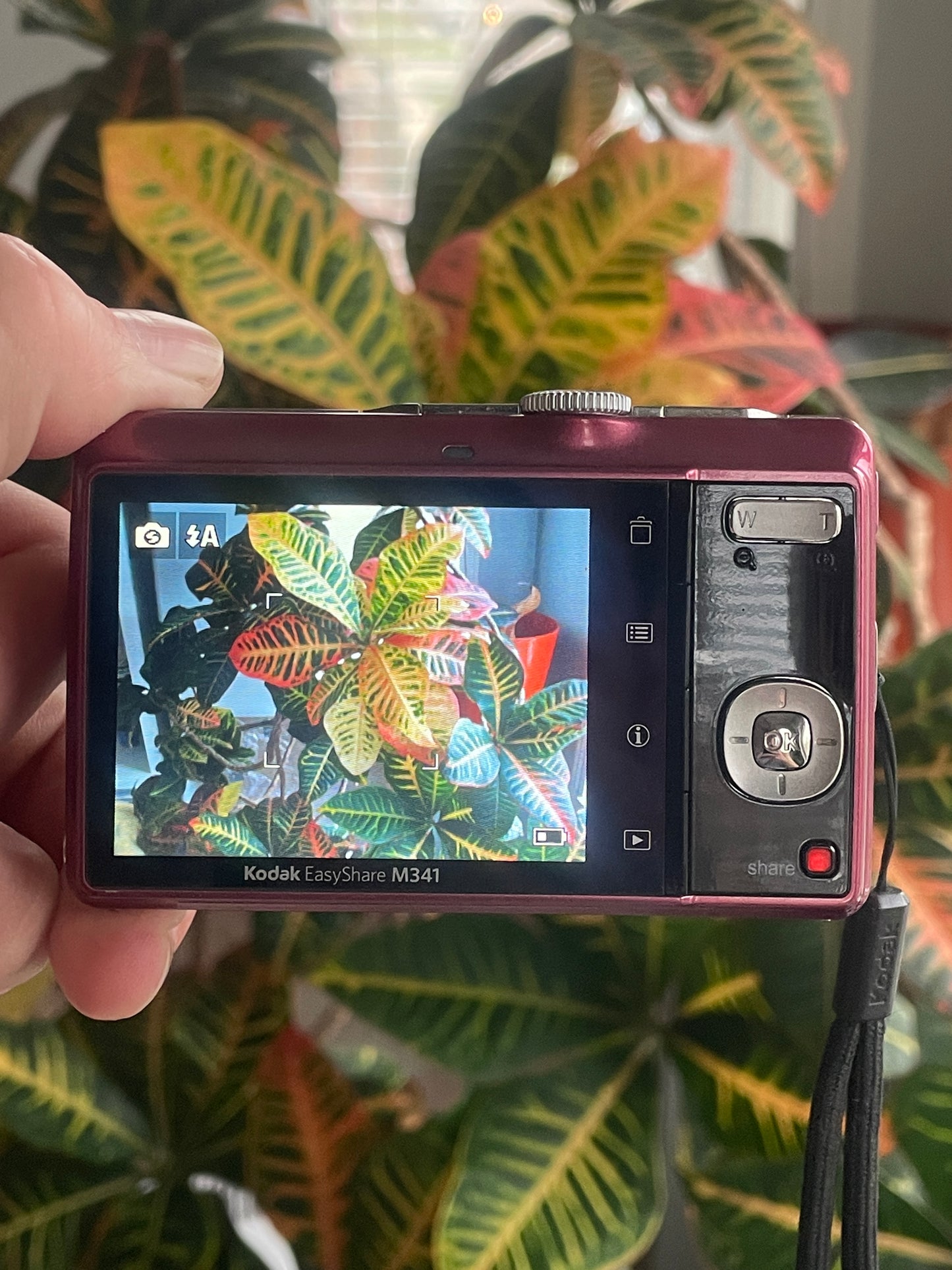 Kodak EasyShare M341 12.2 MP Digital Camera Bundle - Pink