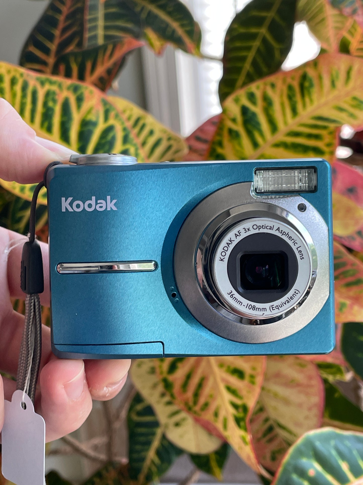 Kodak EasyShare C813 8.2 MP Digital Camera Bundle - Teal
