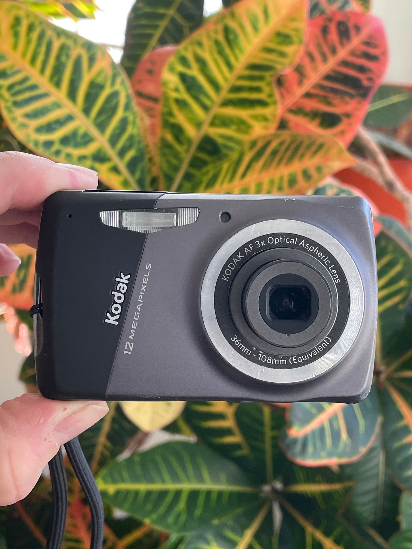 Kodak EasyShare M530 12 MP Digital Camera Bundle - Carbon