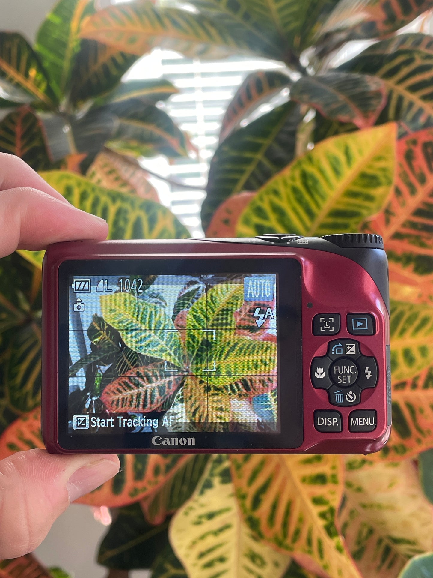 Canon PowerShot A2200 14.1 MP Digital Camera Bundle - Red