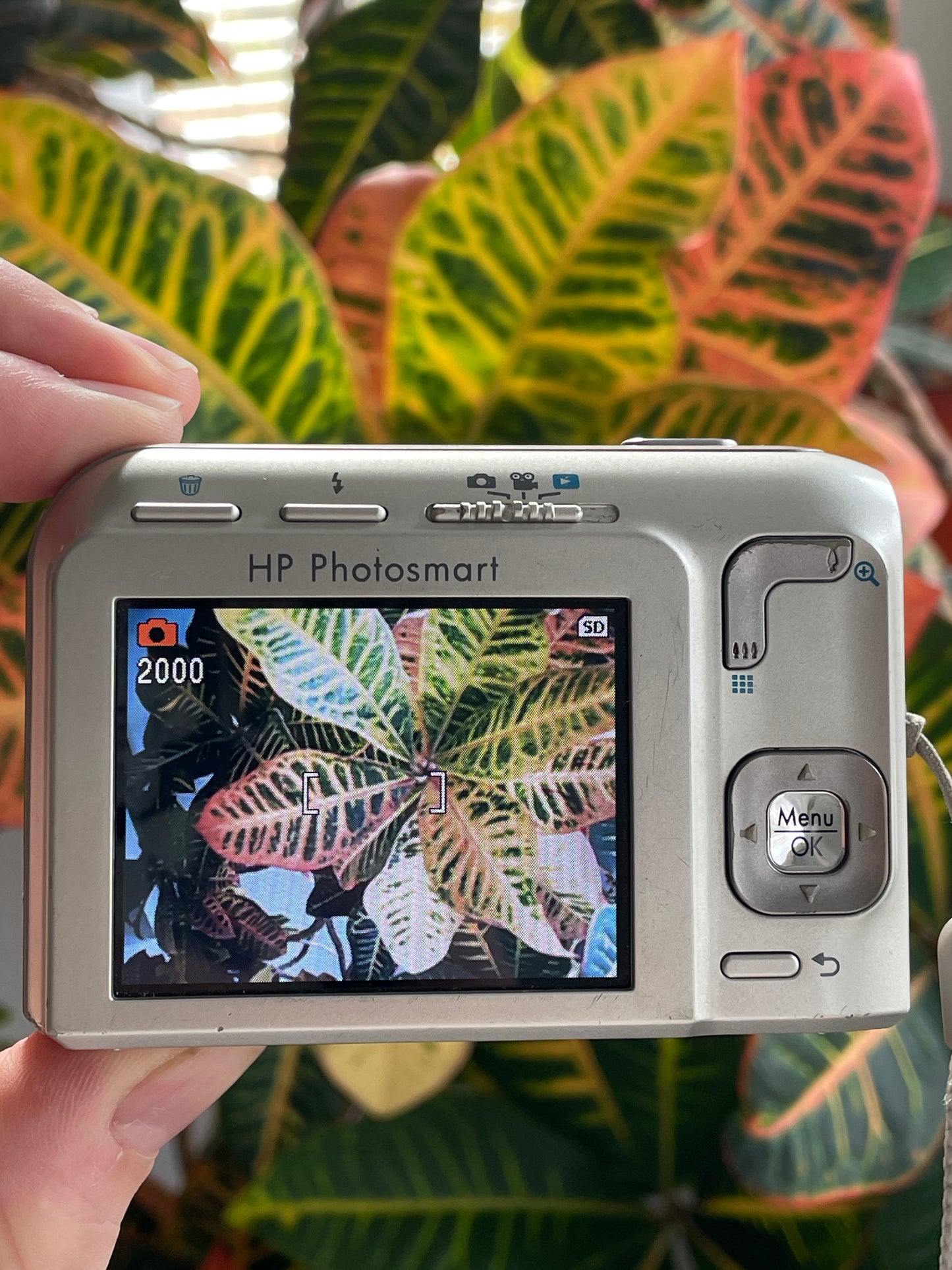 HP Photosmart M537 6.0 MP Digital Camera Bundle - Silver