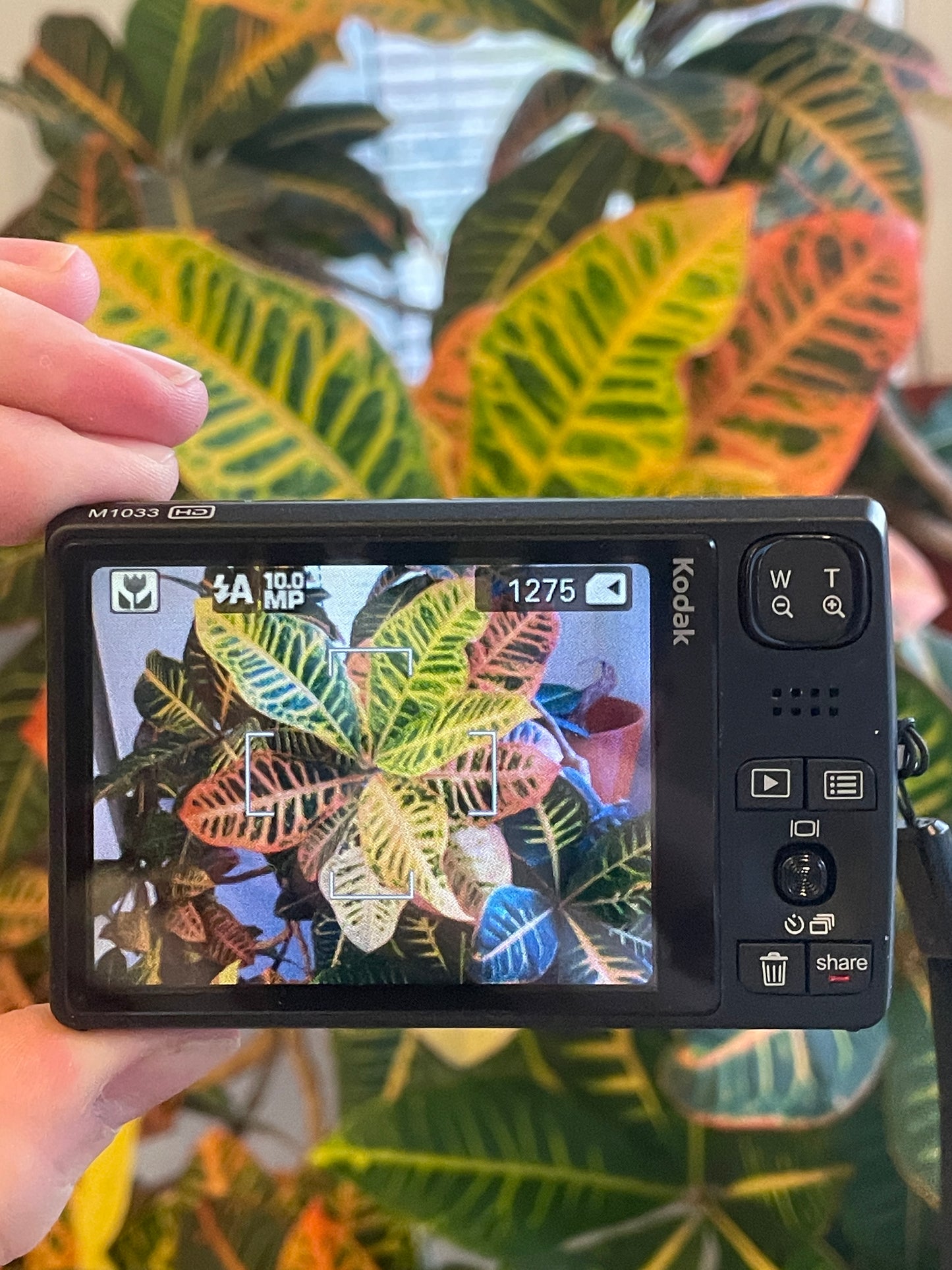 Kodak EasyShare M1033 HD 10 MP Digital Camera Bundle - Charcoal