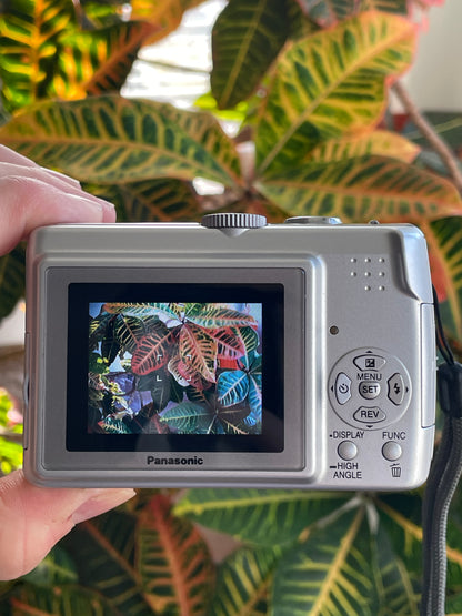 Panasonic Lumix DMC-LZ6 7.2 MP Digital Camera Bundle - Silver