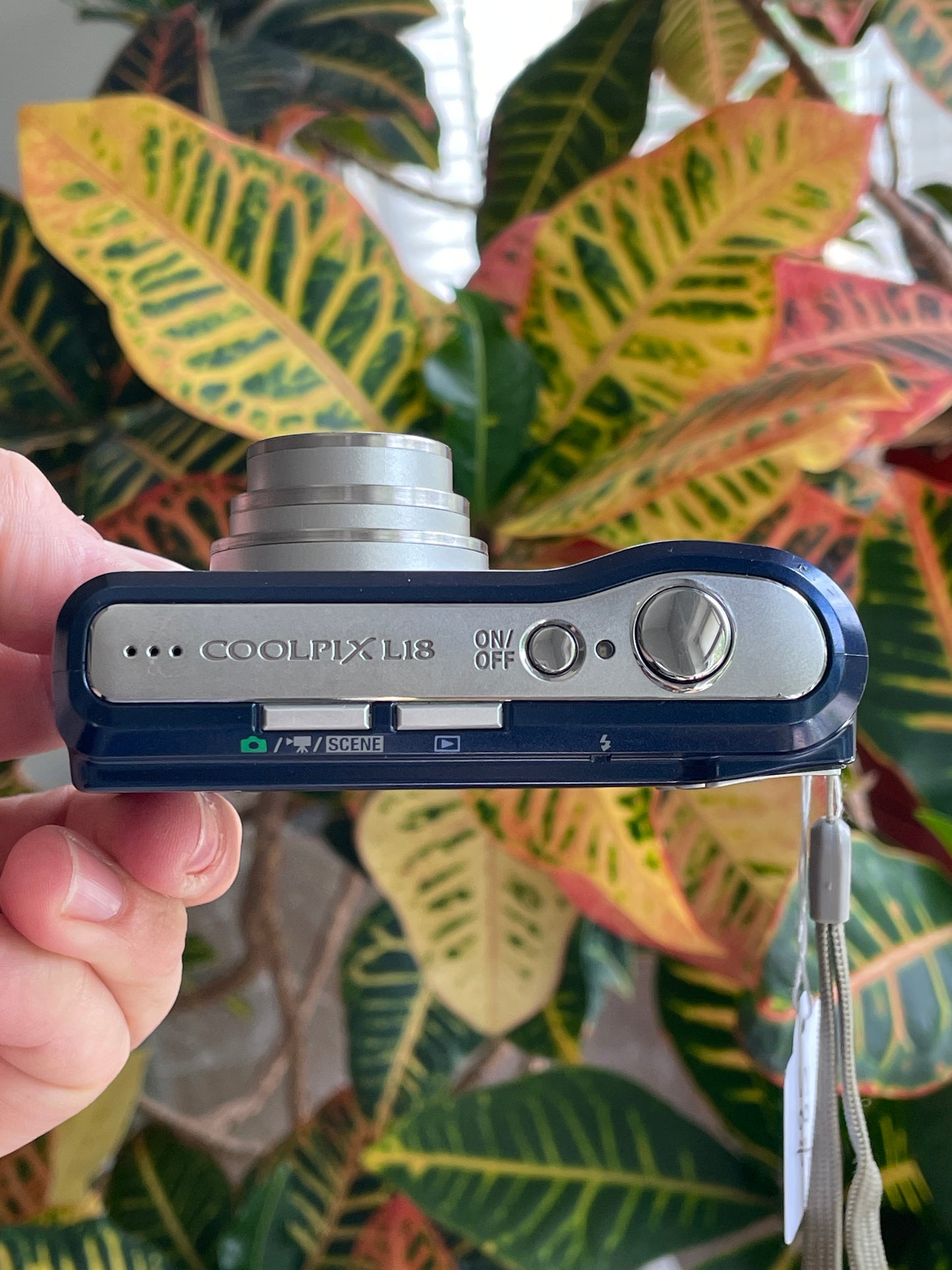 Nikon Coolpix L18 8 MP Digital Camera Bundle - Blue