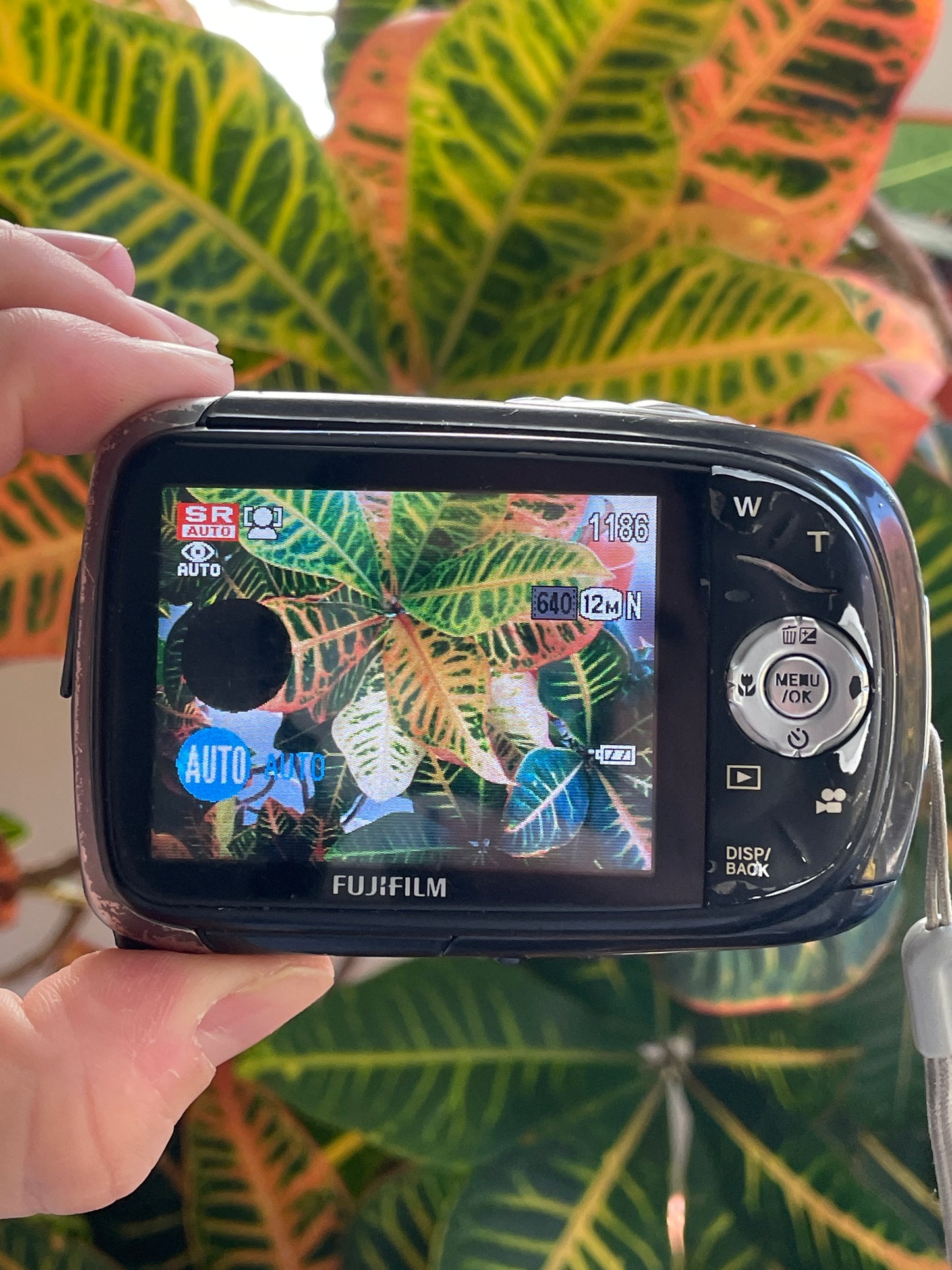 FujiFilm FinePix XP10 12.2 MP Digital Camera Bundle - Black