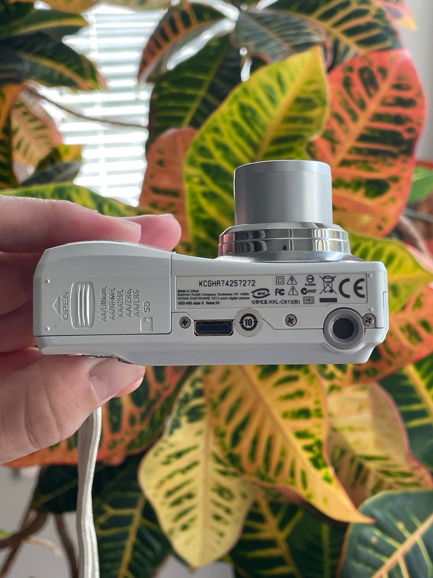 Kodak EasyShare C613 6.2 MP Digital Camera Bundle - White