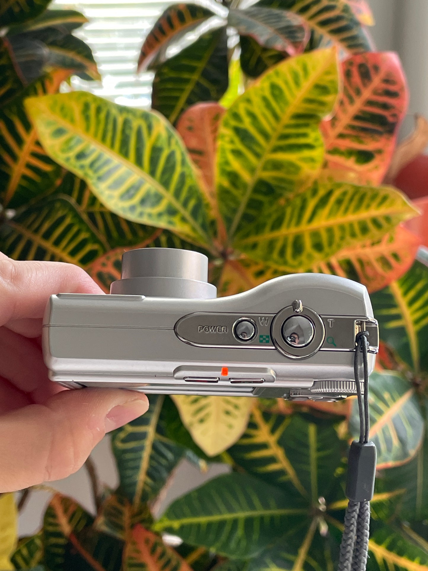 Olympus FE-210 7.1 MP Digital Camera Bundle