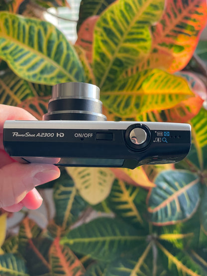 Canon PowerShot A2300 16 MP Digital Camera Bundle - Silver