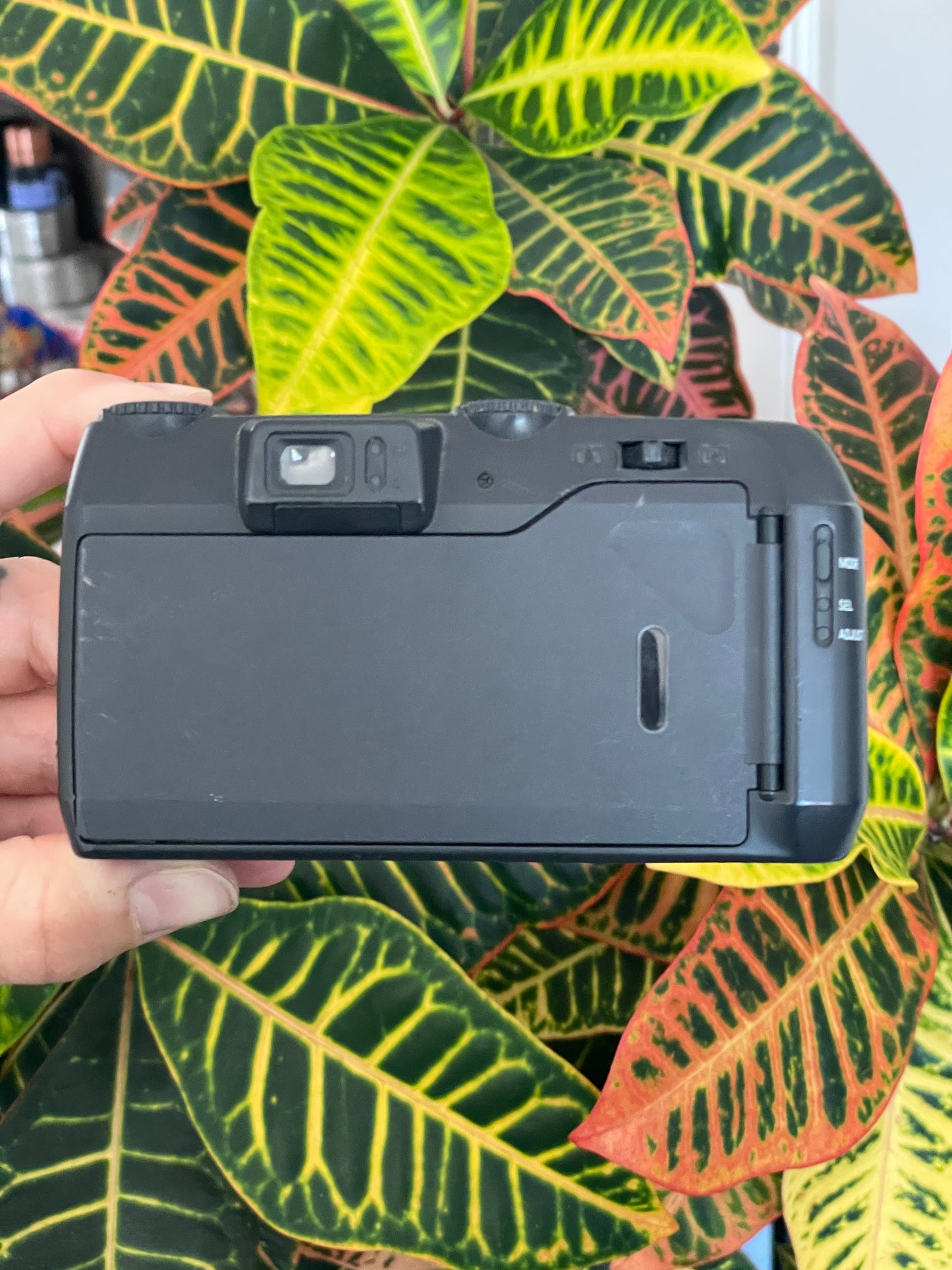 Nikon Zoom 800 AF 38-130mm 35mm Film Camera Bundle