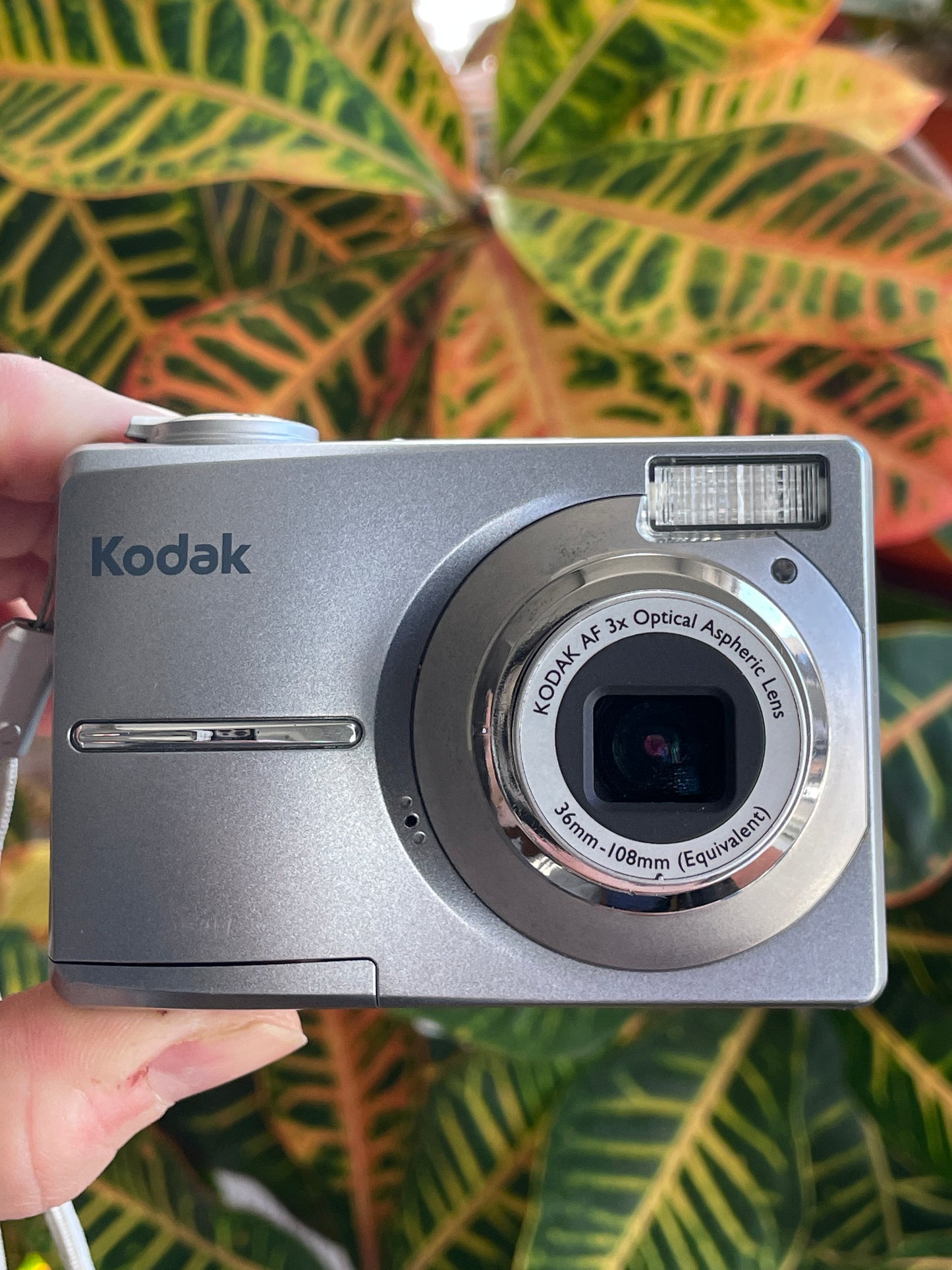 Kodak EasyShare C813 8.2 MP Digital Camera Bundle - Gray