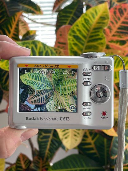 Kodak EasyShare C613 6.2 MP Digital Camera Bundle - White