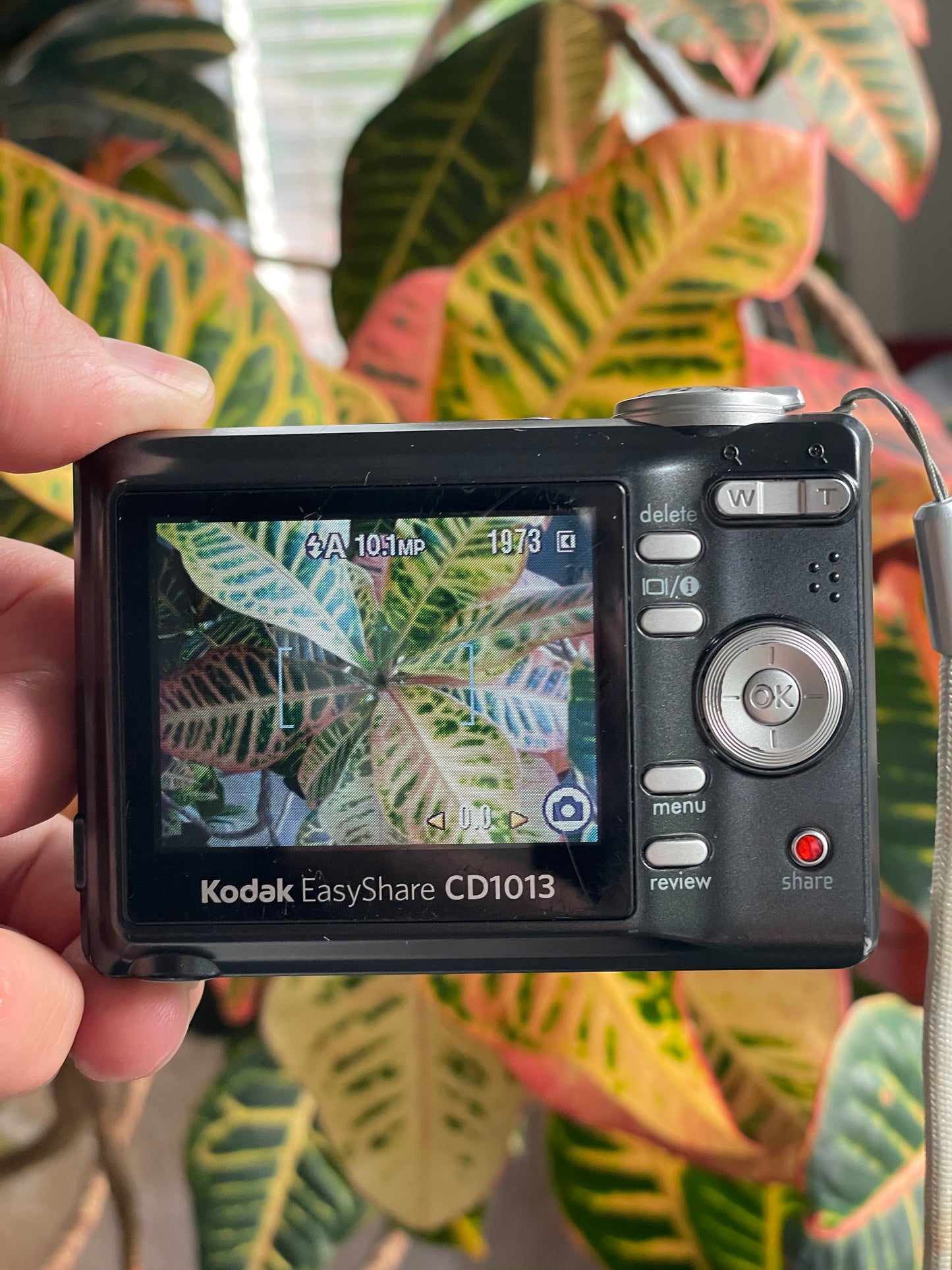 Kodak EasyShare CD1013 10.3 MP Digital Camera Bundle - Black