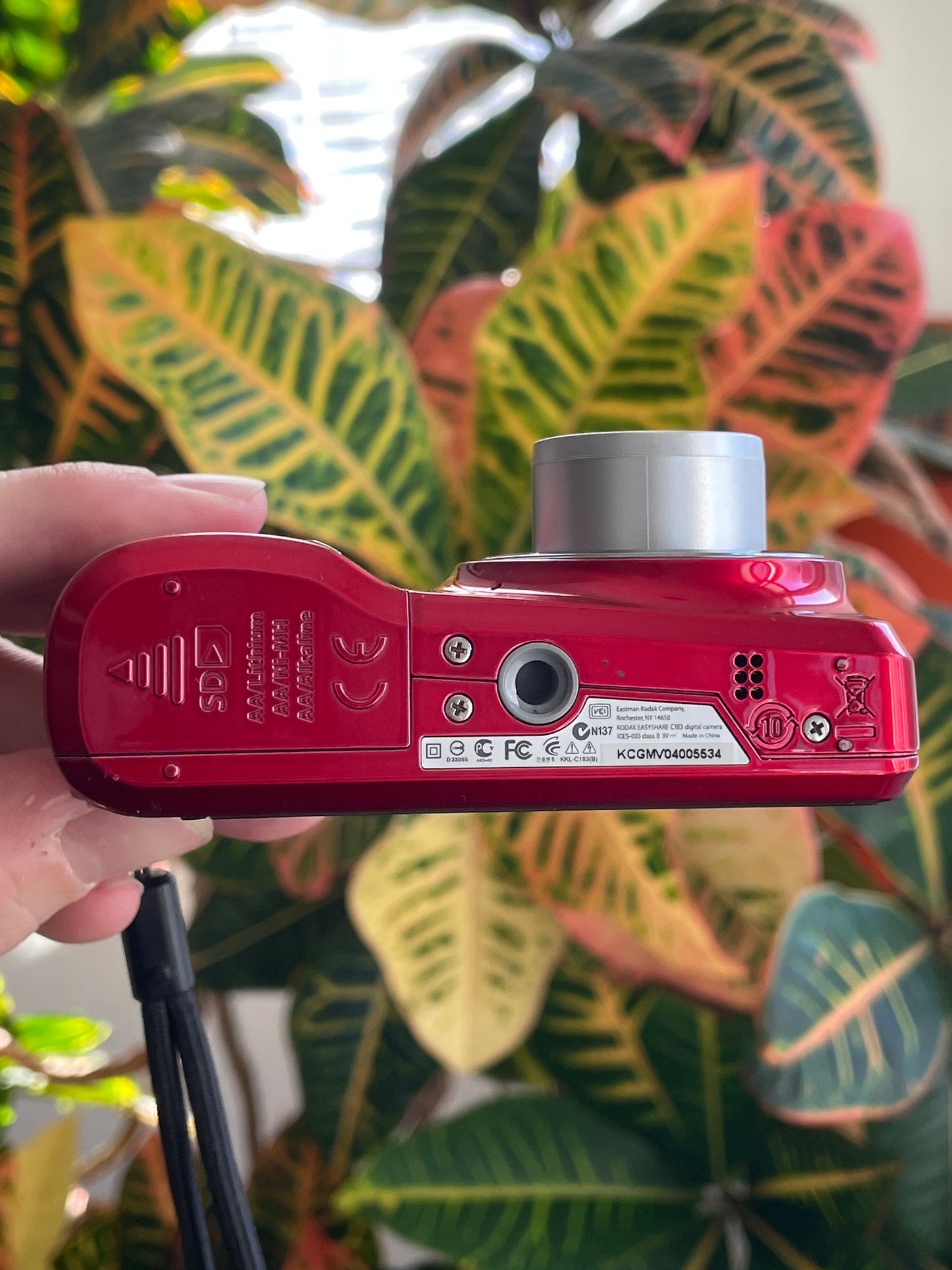 Kodak EasyShare C183 14 MP Digital Camera Bundle - Red