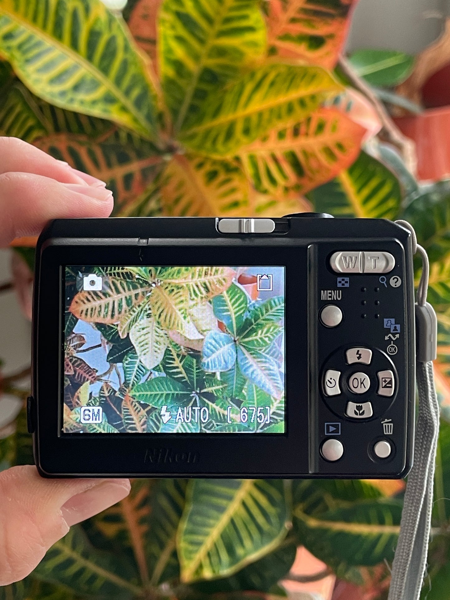 Nikon CoolPix L1 6.2 MP Digital Camera Bundle - Black