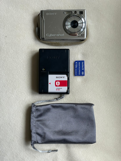 Sony CyberShot Super SteadyShot DSC-W90 8.1 MP Digital Camera Bundle - Silver