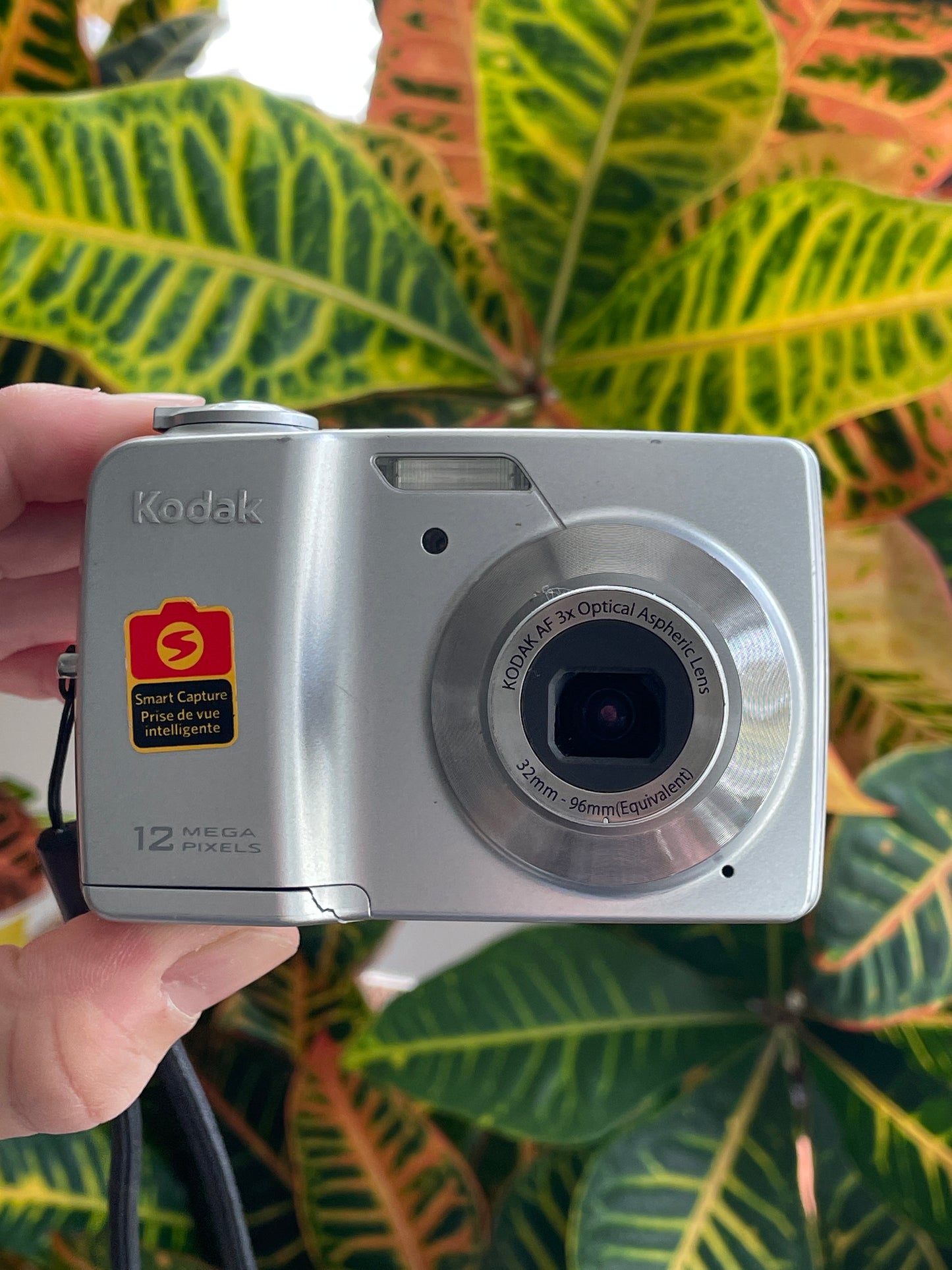 Kodak EasyShare C182 12 MP Digital Camera Bundle - Silver