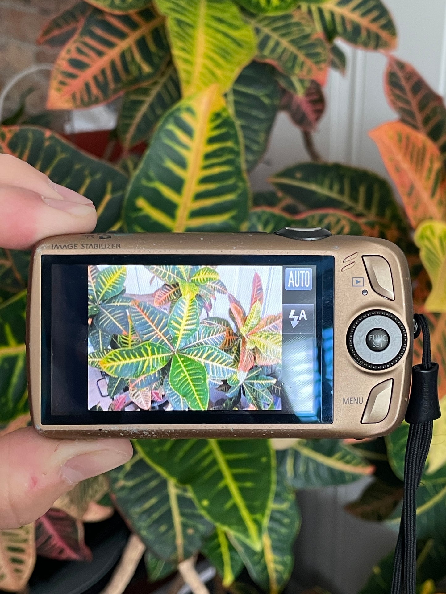 Canon PowerShot SD890 IS Digital ELPH 12.1 MP Camera Bundle - Bronze