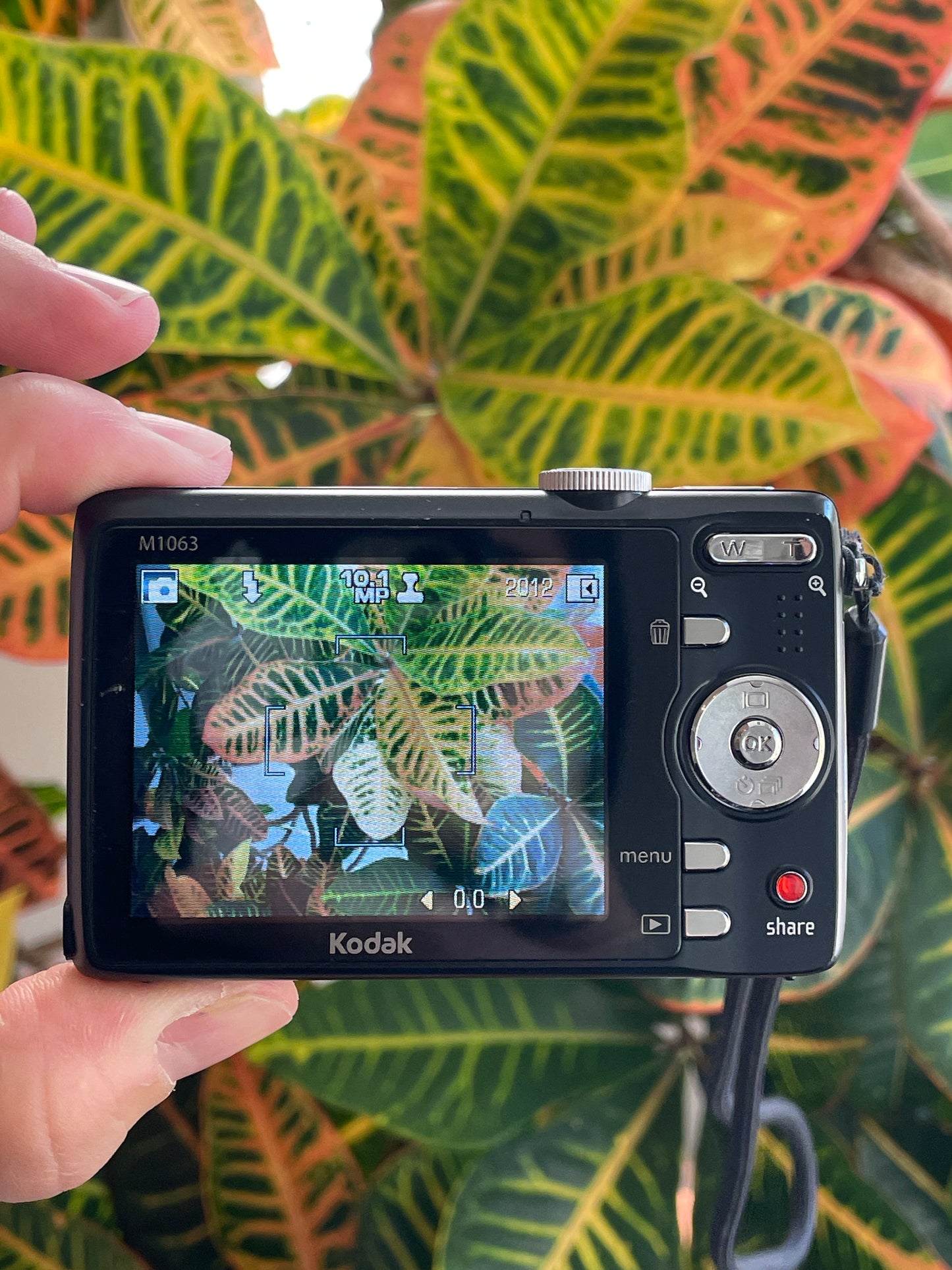 Kodak EasyShare M1063 10.3 MP Digital Camera Bundle - Black