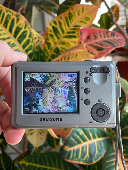 Samsung Digimax D53 5.0 MP Digital Camera Bundle - Gray
