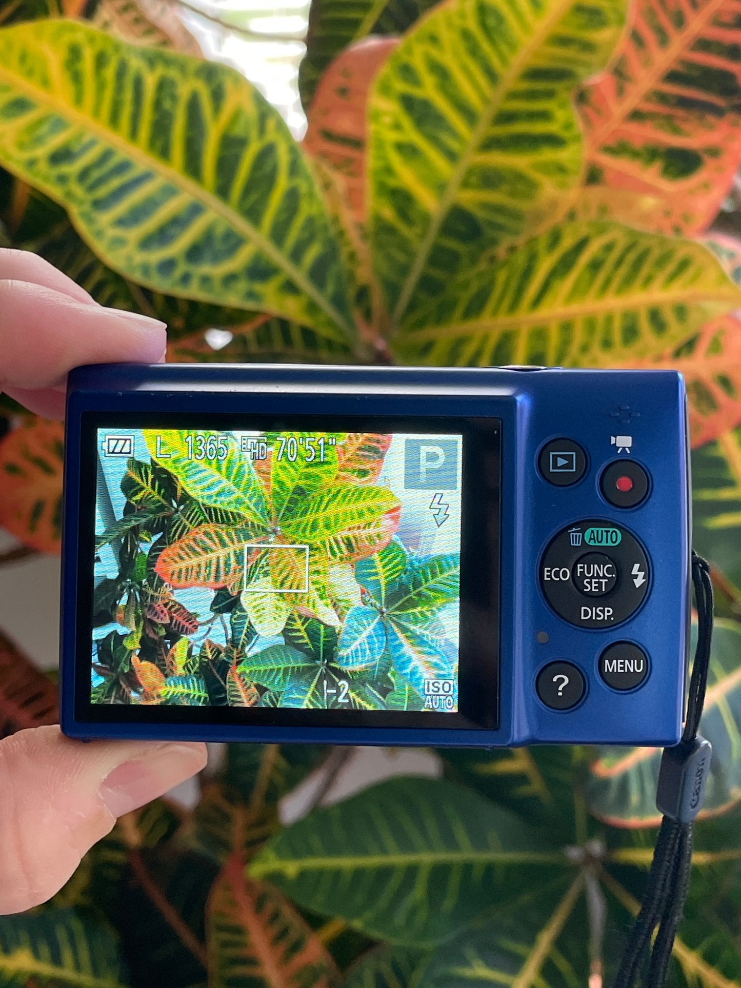 Canon PowerShot ELPH 150 IS 20 MP Digital Camera Bundle - Blue