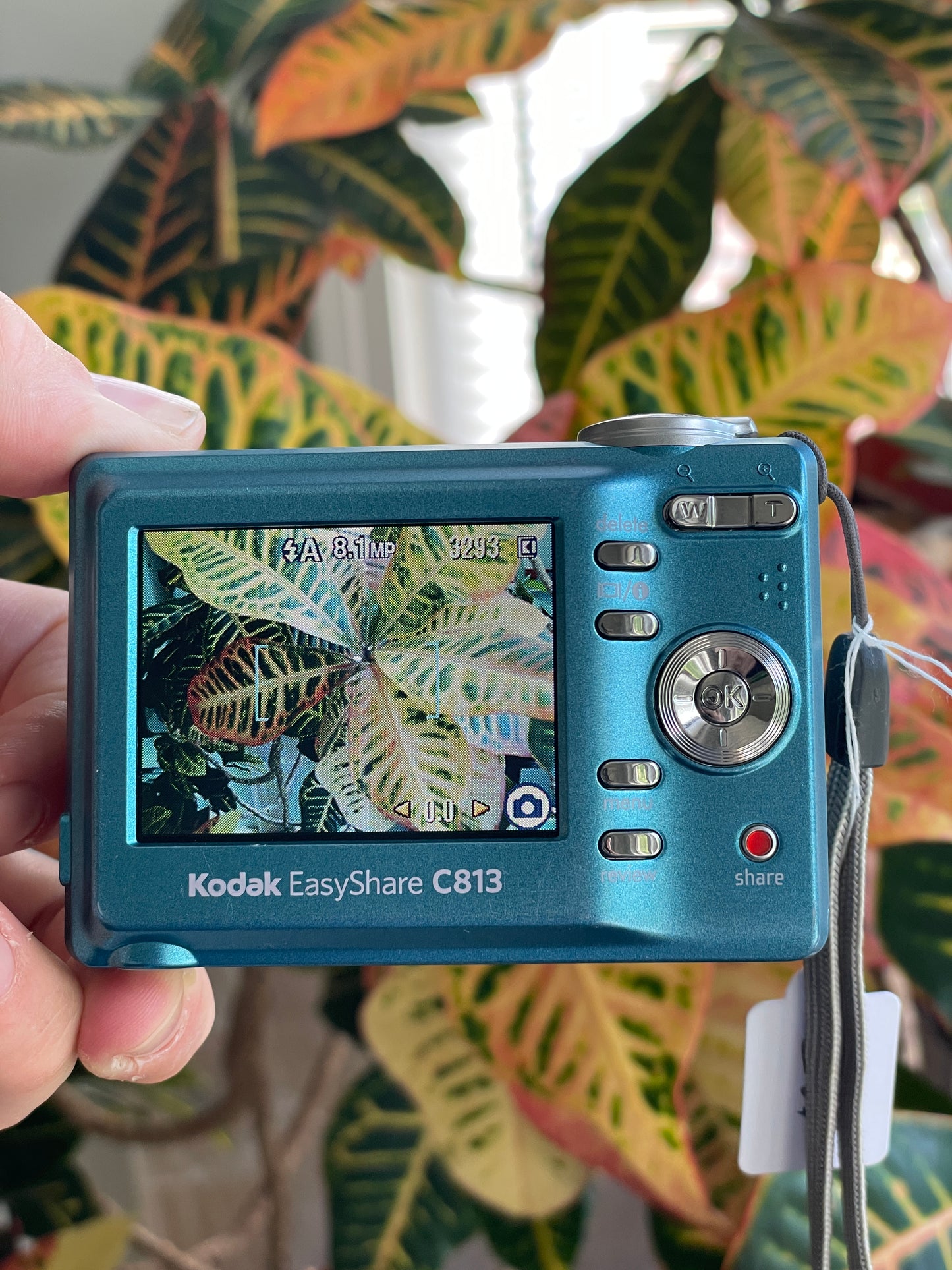 Kodak EasyShare C813 8.2 MP Digital Camera Bundle - Teal